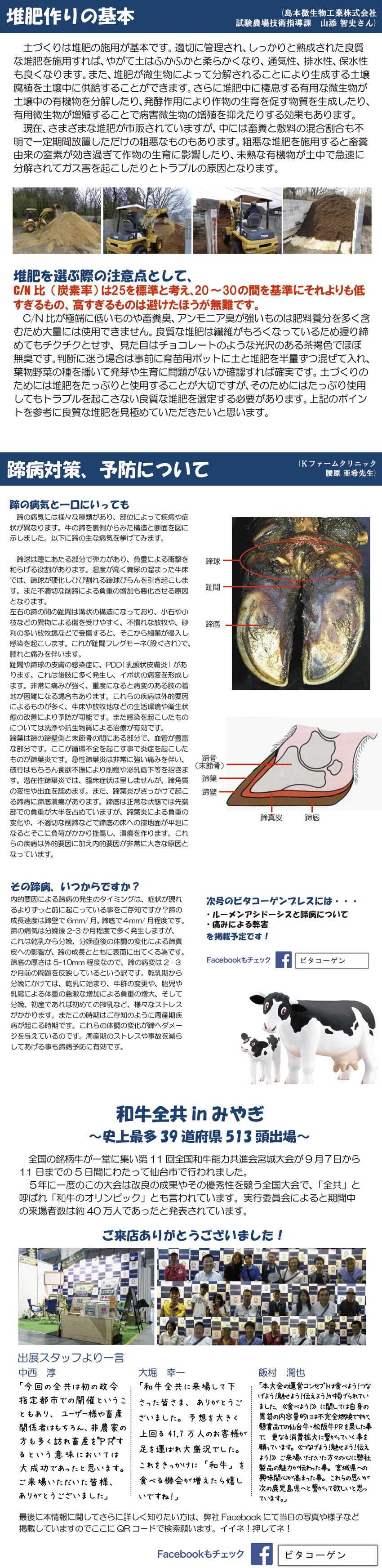 堆肥作りの基本