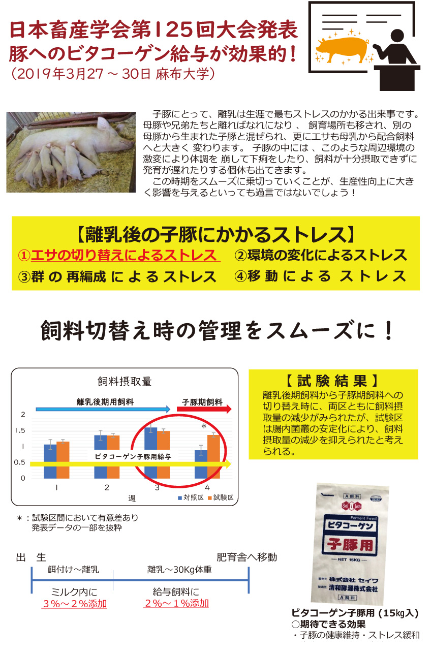日本畜産学会第125回大会結果発表 豚へのビタコーゲン給与が効果的 2019年3月27日から30日 麻布大学にて