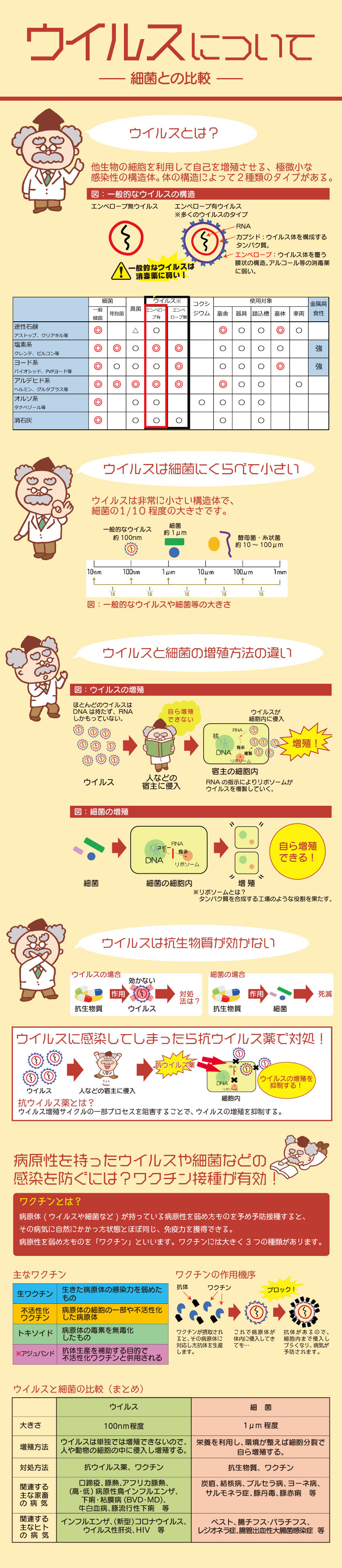 ウイルスについて 細菌との比較