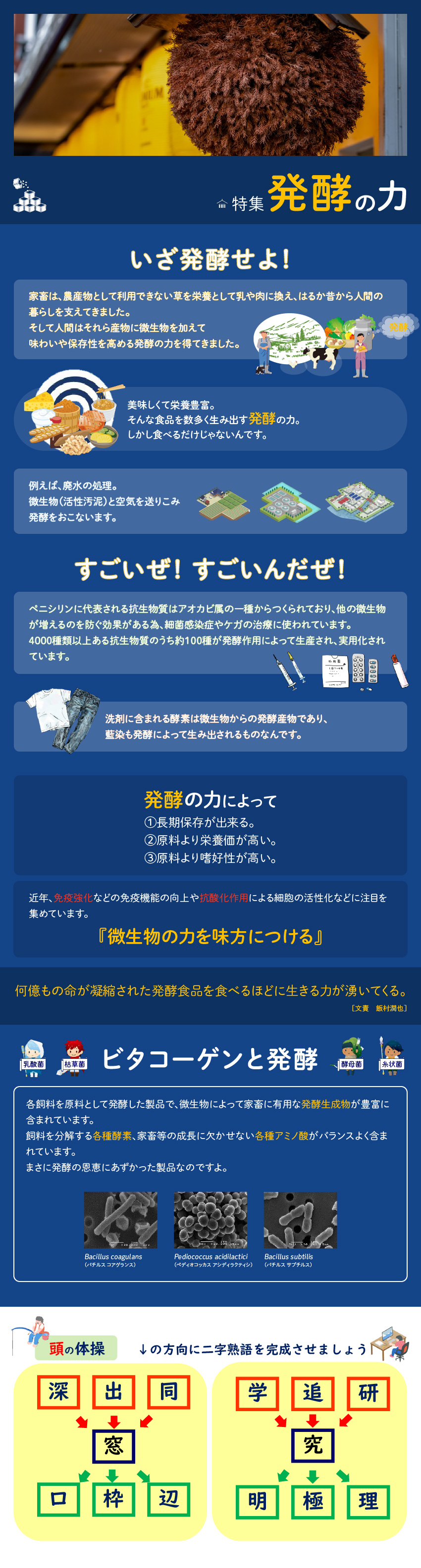 特集 発酵の力
