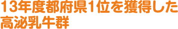 13年度都府県１位を獲得した高泌乳牛群