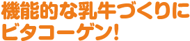 機能的な乳牛づくりにビタコーゲン!