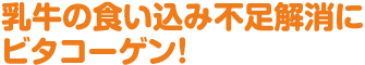 乳牛の食い込み不足解消にビタコーゲン!