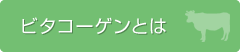 ビタコーゲンとは