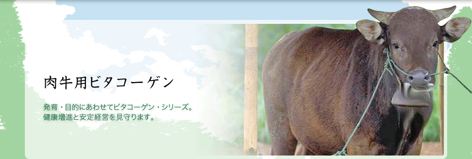 発育・目的にあわせてビタコーゲン・シリーズ。健康増進と安定経営を見守ります。