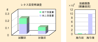 レタス苗発育調査と放線菌数のグラフ