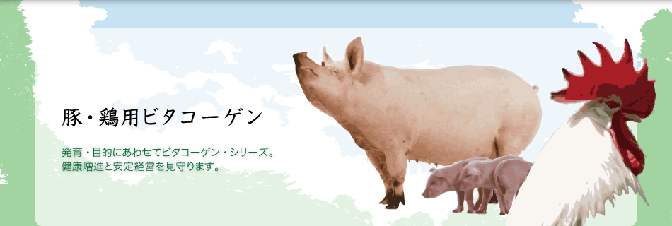 発育・目的にあわせてビタコーゲン・シリーズ。健康増進と安定経営を見守ります。