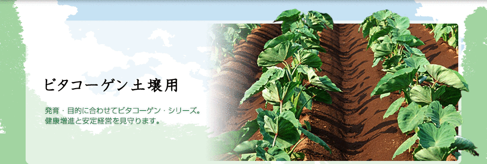 発育・目的にあわせてビタコーゲン・シリーズ。健康増進と安定経営を見守ります。