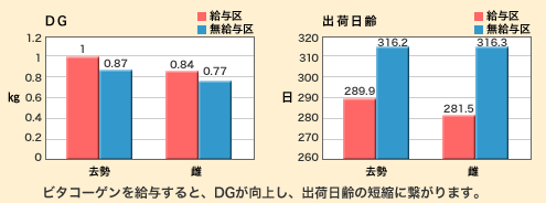 ビタコーゲンを給与すると、DGが向上し、出荷日齢の短縮に繋がります。