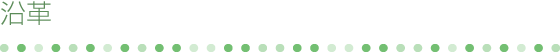 沿革